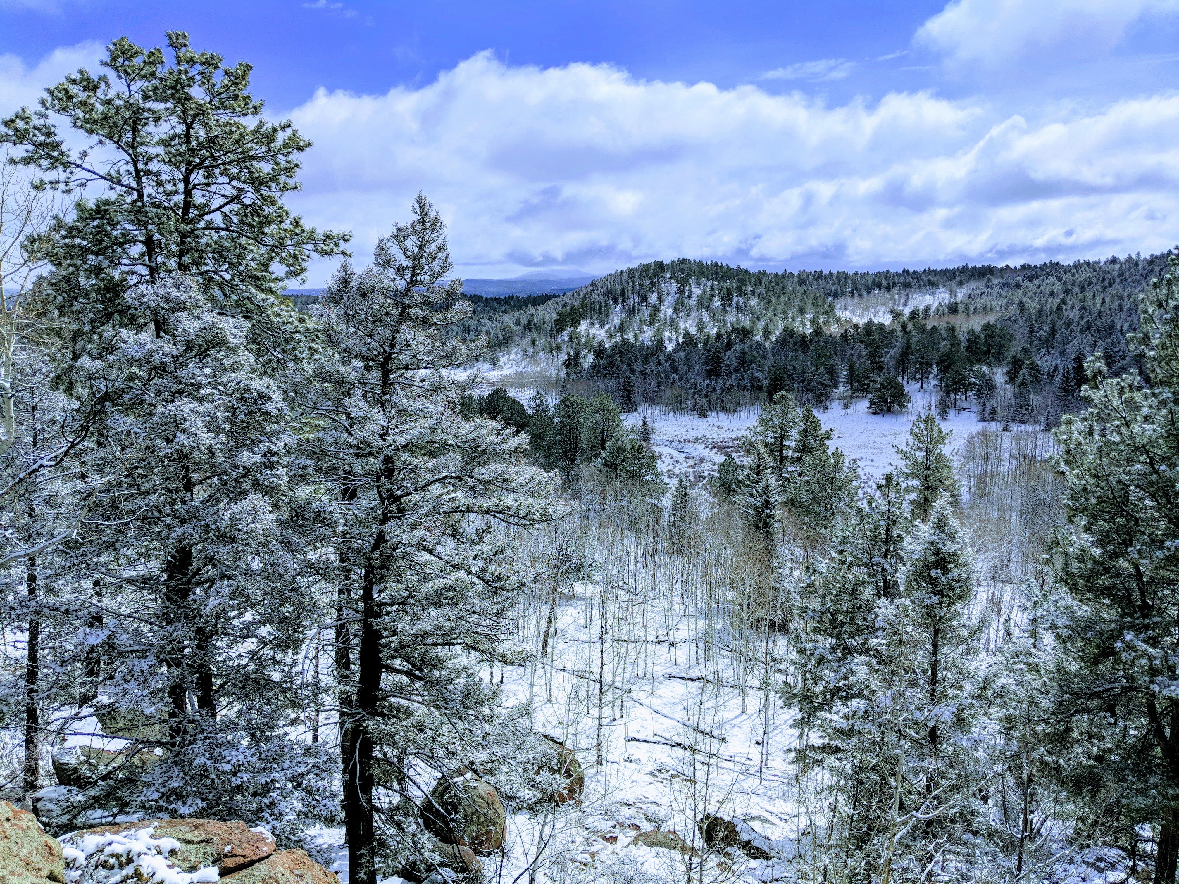 The Nature Place Colorado mental health retreat colorado