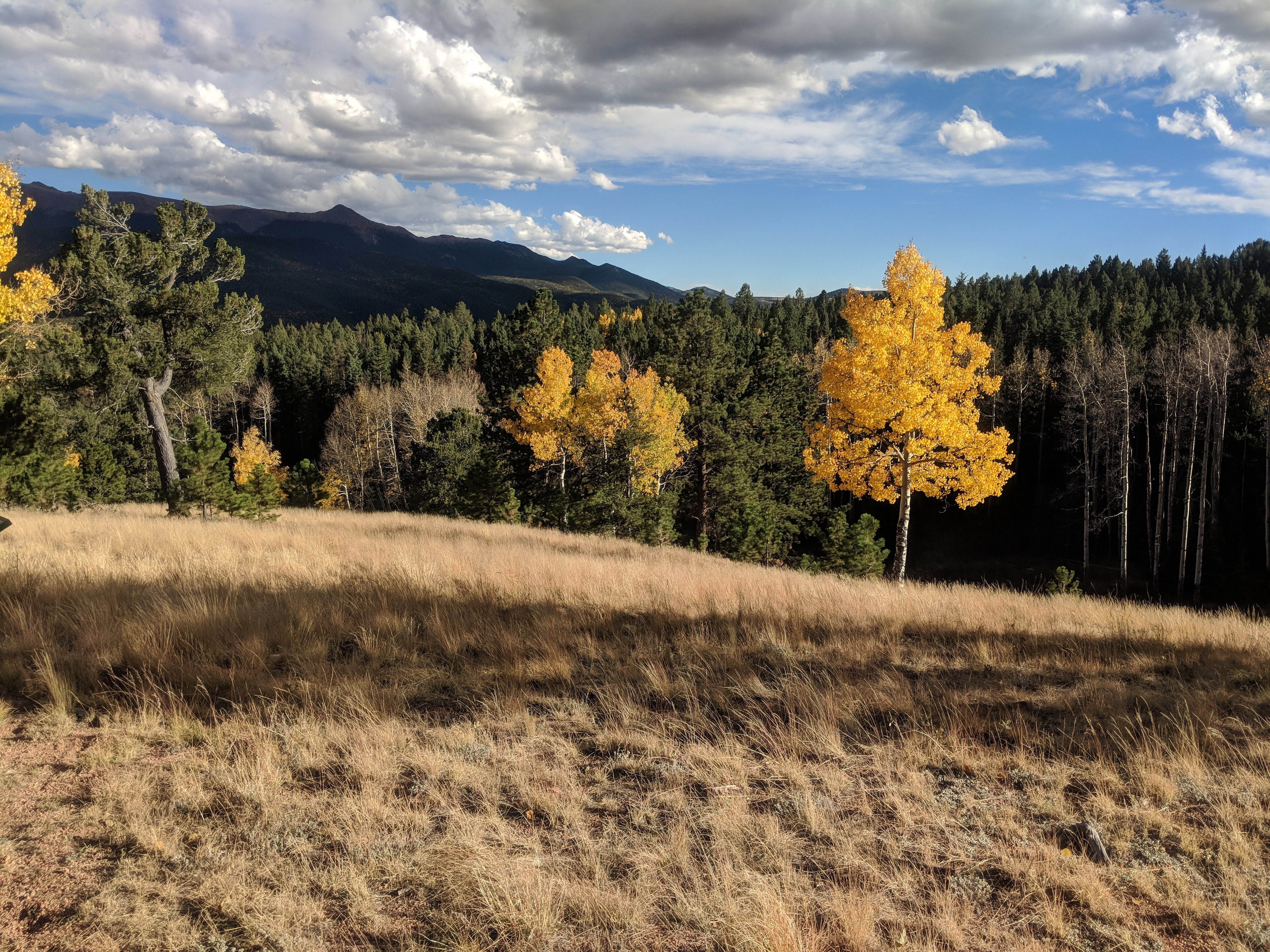 The Nature Place Colorado Property Site