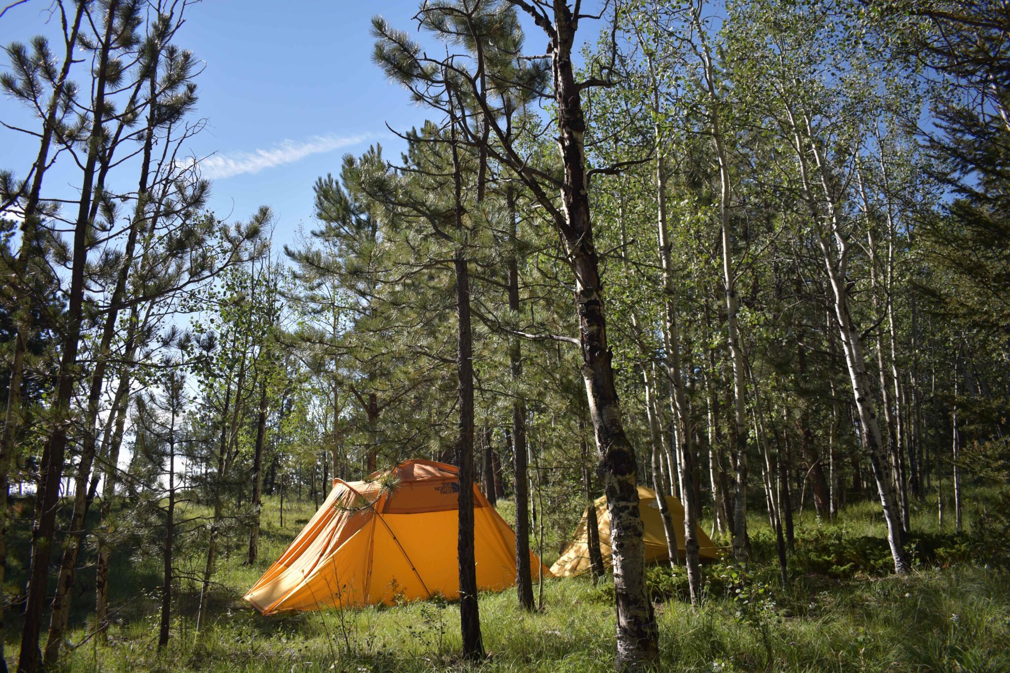 The Nature Place Colorado mental health retreat colorado